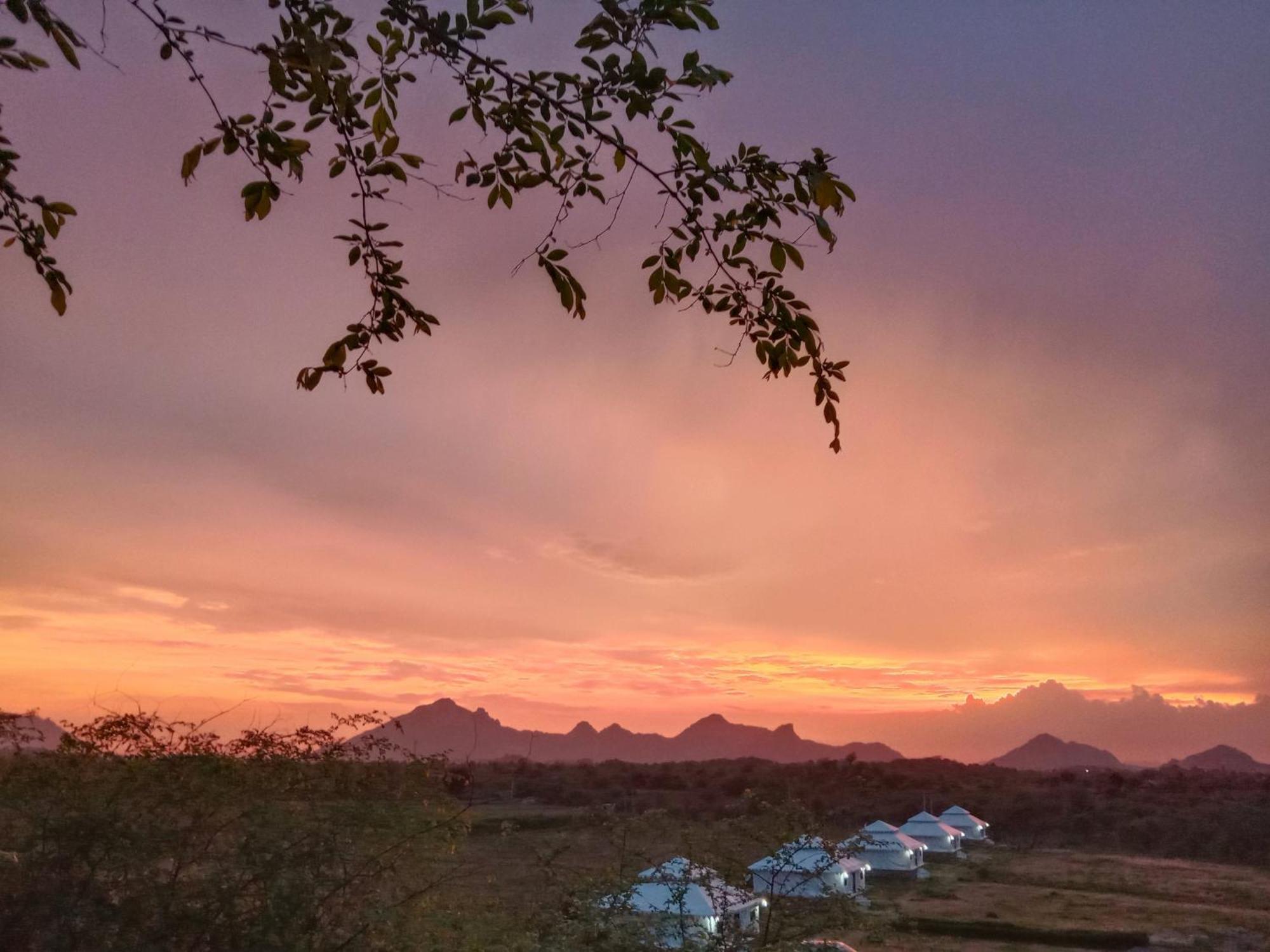 Hotel The Bagheera Bagh Jawai Bera Exteriér fotografie