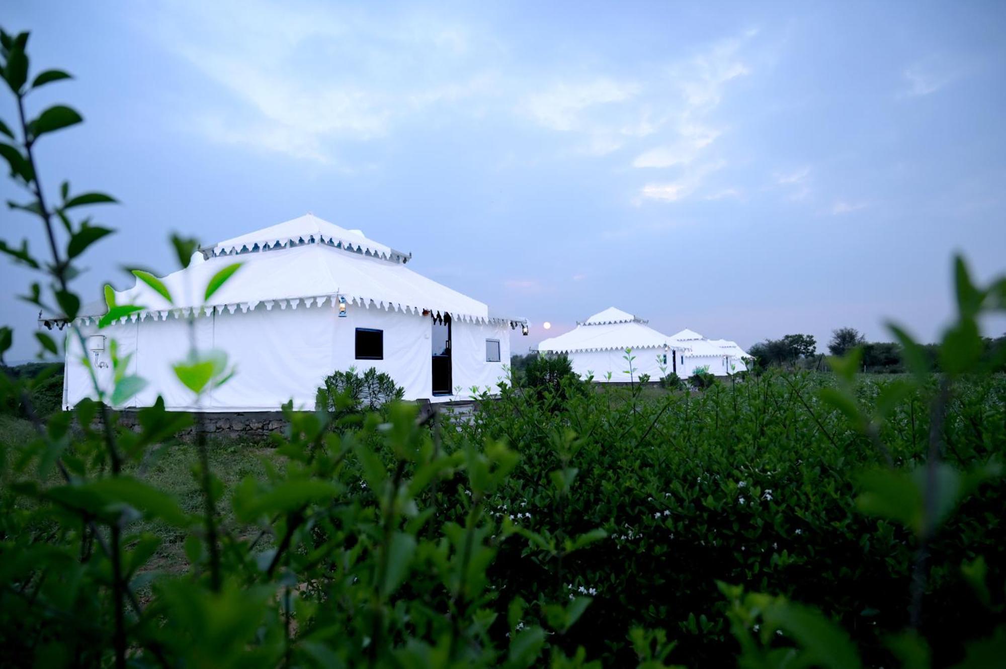 Hotel The Bagheera Bagh Jawai Bera Exteriér fotografie